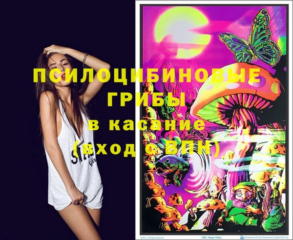 прущие крисы Дмитров