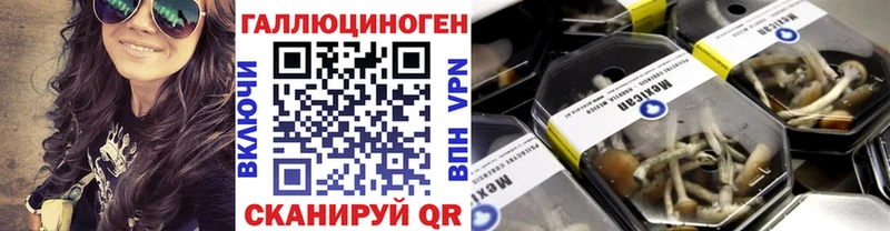 Псилоцибиновые грибы MAGIC MUSHROOMS  Яранск 